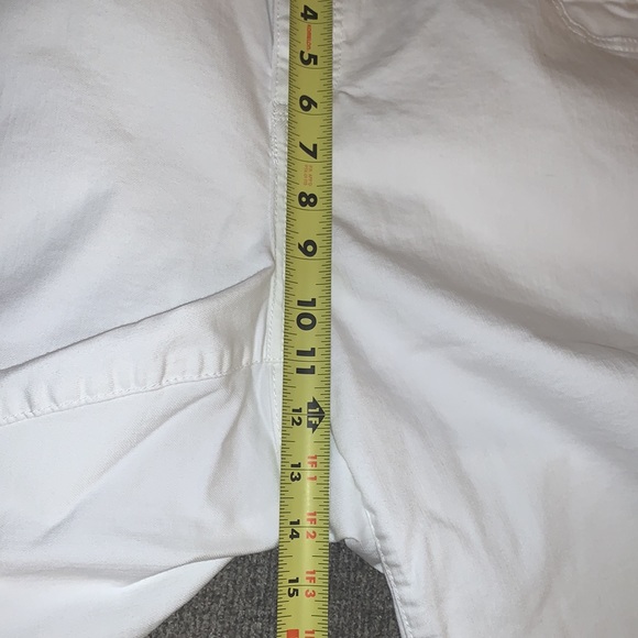 Democracy Shorts - Picture 6 of 9